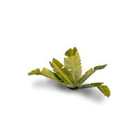 Gamers Grass: Banana Tree