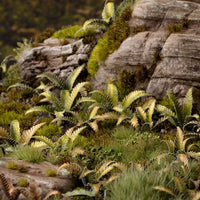 Gamers Grass: Deer Fern