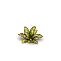 Gamers Grass: Dumb Cane