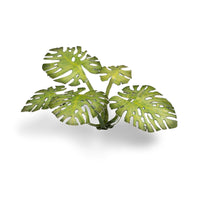 Gamers Grass: Monstera