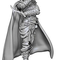 PATHFINDER: DEEP CUTS UNPAINTED MINIATURES - HUMAN FEMALE ROGUE