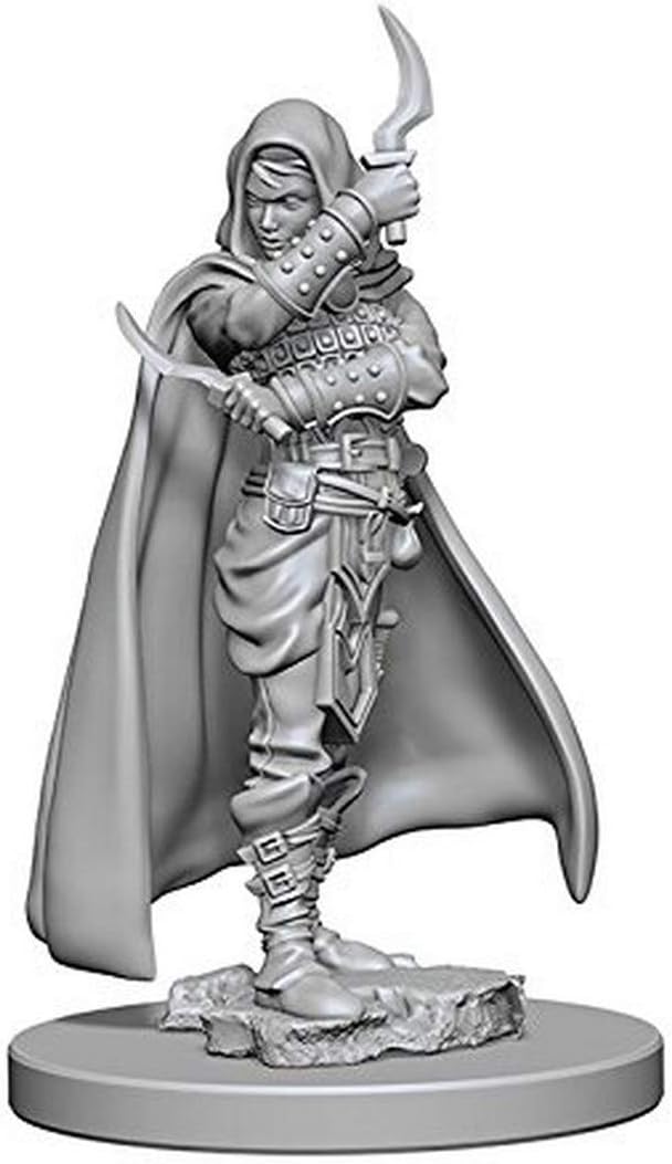 PATHFINDER: DEEP CUTS UNPAINTED MINIATURES - HUMAN FEMALE ROGUE