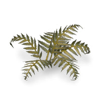 Gamers Grass: Bracken
