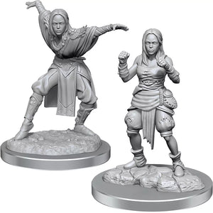 DEEP CUTS UNPAINTED MINIATURES - Half-Elf Monk Female