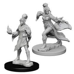 PATHFINDER: DEEP CUTS UNPAINTED MINIATURES - ELF FEMALE SORCERER