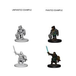 DUNGEONS AND DRAGONS: NOLZUR'S MARVELOUS UNPAINTED MINIATURES - DWARF FEMALE PALADIN