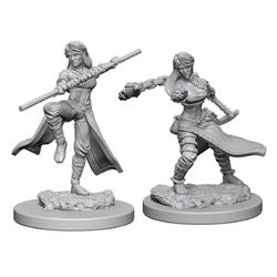 DUNGEONS AND DRAGONS: NOLZUR'S MARVELOUS UNPAINTED MINIATURES - HUMAN FEMALE MONK