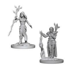 DUNGEONS AND DRAGONS: NOLZUR'S MARVELOUS UNPAINTED MINIATURES - HUMAN FEMALE DRUID