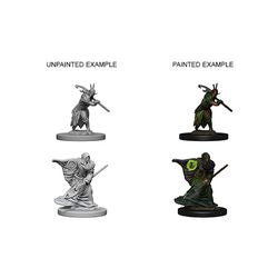 DUNGEONS AND DRAGONS: NOLZUR'S MARVELOUS UNPAINTED MINIATURES - ELF MALE DRUID