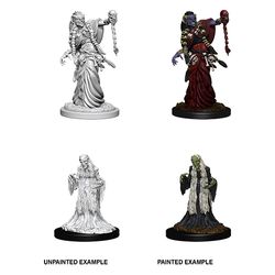 DUNGEONS AND DRAGONS: NOLZUR'S MARVELOUS UNPAINTED MINIATURES - GREEN HAG AND NIGHT HAG