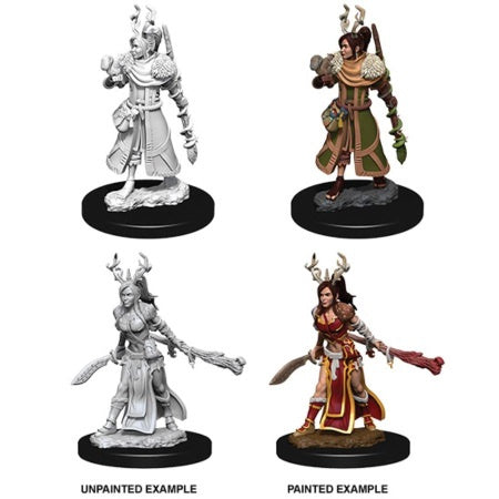 DUNGEONS AND DRAGONS: NOLZUR'S MARVELOUS UNPAINTED MINIATURES - FEMALE HUMAN DRUID