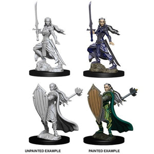 DUNGEONS AND DRAGONS: NOLZUR'S MARVELOUS UNPAINTED MINIATURES - FEMALE ELF PALADIN