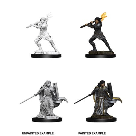 DUNGEONS AND DRAGONS: NOLZUR'S MARVELOUS UNPAINTED MINIATURES - FEMALE HUMAN PALADIN